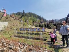 -芦芽山旅游度假区