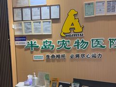 -半岛宠物医院24小时·内窥镜·牙科·碎石中心(府城大道店)
