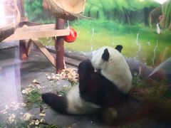 -无锡动物园·太湖欢乐园