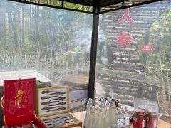 -峡谷浮石林景区