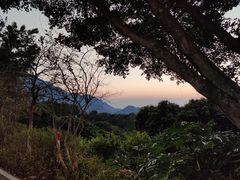 -广州市石门国家森林公园