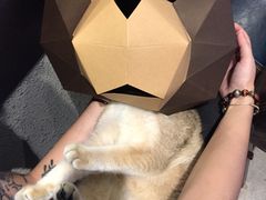 -咖法森林·咖啡  酒吧(天河店)