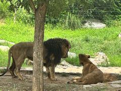 -北京野生动物园