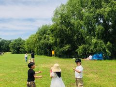 -长白岛森林公园