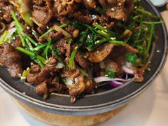 -新侨小馆(东直门北小街店)