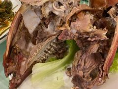 -草原明珠大酒店蒙餐