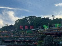 -枇杷园食为鲜火锅(南山店)