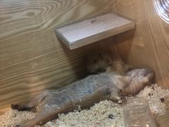 -SFC上影影城(成都科华IMAX店)