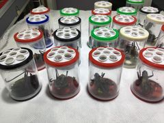 -万商花鸟市场