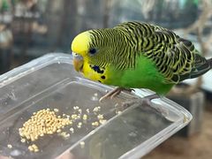 -天津zoonly动物主题公园