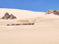 -玉龙沙湖景区