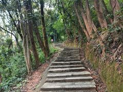 -黄埔油麻山森林公园