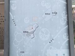 -大金鹰园