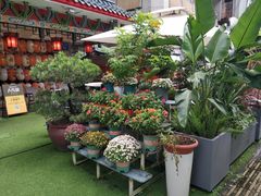 -山水茶艺馆·点心粤菜·30年老字号