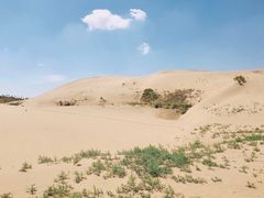 -银肯塔拉沙漠生态旅游景区