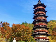 -牛首山文化旅游区