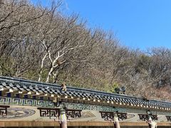 -句容茅山景区