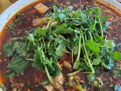 -胖大姐黄辣丁鱼庄(新津店)