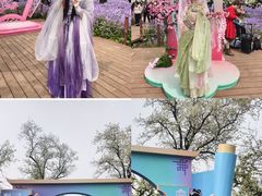 -江苏三台山国家森林公园