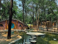 -南戴河国际娱乐中心