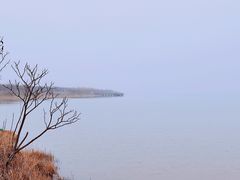 -天津东丽湖风景区