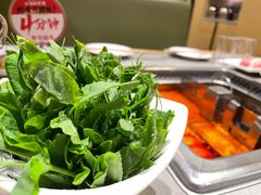 -海底捞火锅(8号仓店)