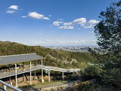-大青山野生动物园