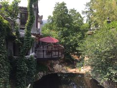 -老张烤羊(王哥庄店)