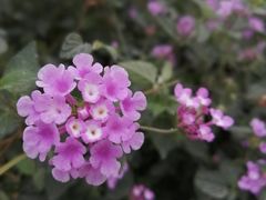 -桂溪生态公园