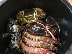 -真浪花园海鲜餐馆