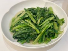 清炒油麦菜-谢先生酒店·椒宴集(沙湖店)