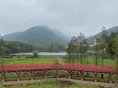 -东部华侨城