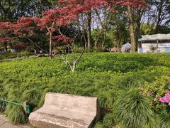 -TZ House音乐现场(来福士中心店)