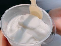 椰子雪糕-洪馨椰子