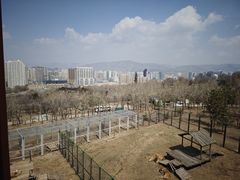 -青藏高原野生动物园