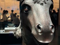 -广西壮族自治区博物馆