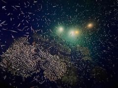 -中国杭州低碳科技馆