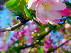 -唐山抗震纪念碑广场