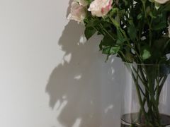 -猫里有甜