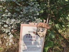 -北京西山国家森林公园