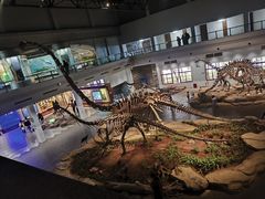 -自贡恐龙博物馆