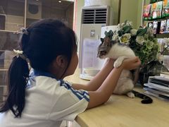 -瑞鹏宠物医院·骨科·猫科·内科(第一中心)
