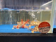 -徐记海鲜(南油永新汇店)
