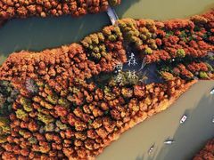 -上海海湾国家森林公园