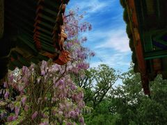 -北京国子监胡同
