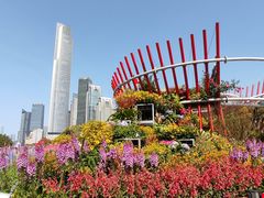 -海心沙亚运公园