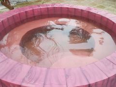 -宁波杭州湾海底温泉