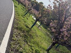 -游子山休闲旅游区