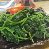 张猫猫的店