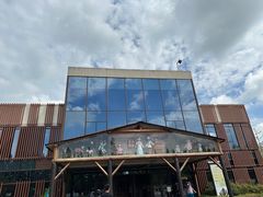 -黄海国家森林公园